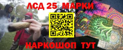 прущие грибы Абакан