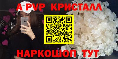 прущие грибы Абакан