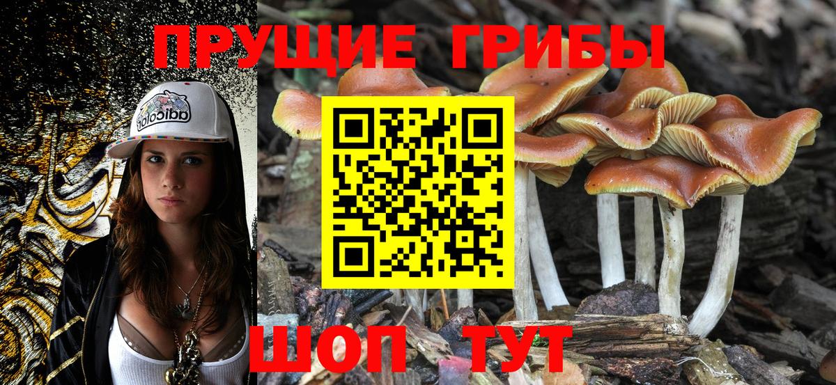 Галлюциногенные грибы Cubensis Алейск