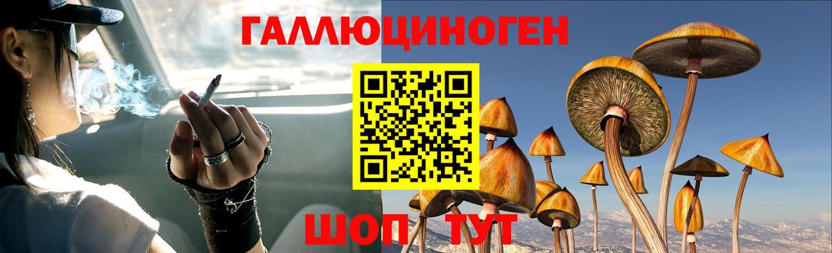 Алейск  Псилоцибиновые грибы MAGIC MUSHROOMS  Вход с VPN 
