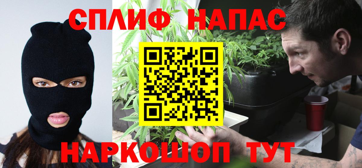 Канабис VHQ  Вход с VPN  Алейск  Марихуана сатива 